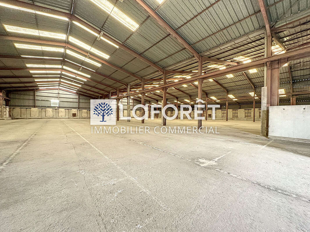 Commerce à SAINT-JACQUES-DE-THOUARS