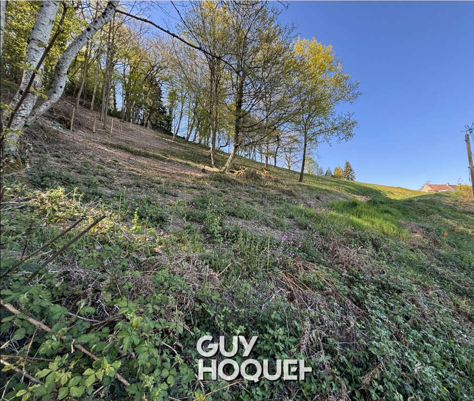 Rare à la vente ? terrain avec vue panoramique - photo 5