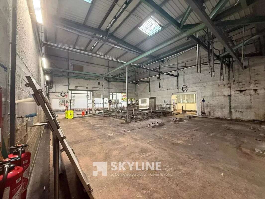 Commerce 23000 m² à Quimper  - photo 6