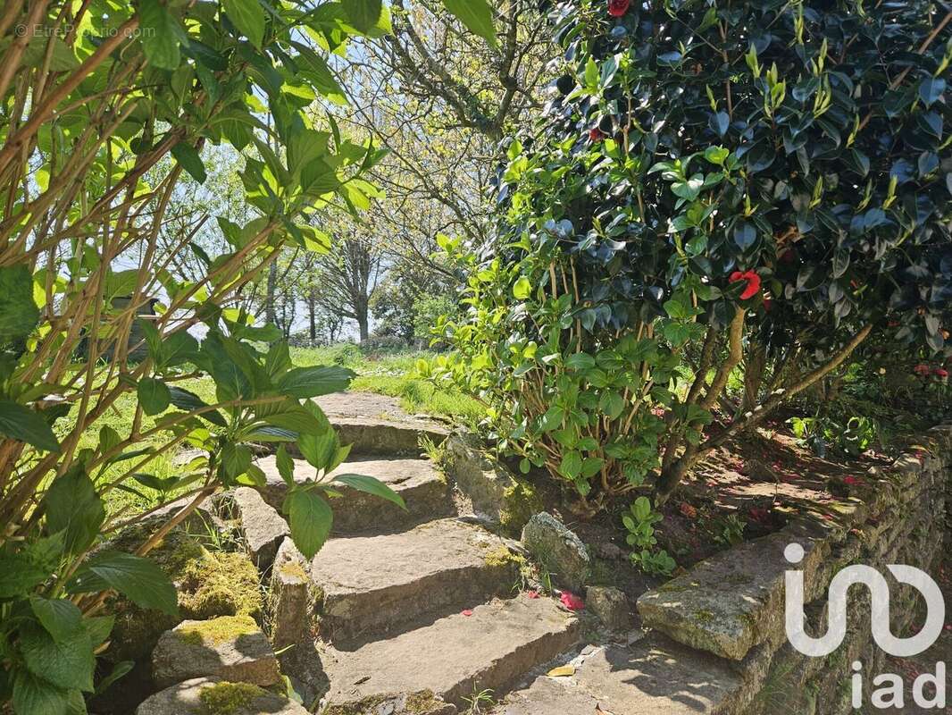 Photo 3 - Maison à MAHALON