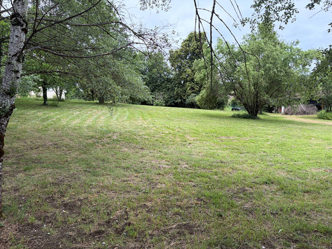 Terrain à NAUCELLES