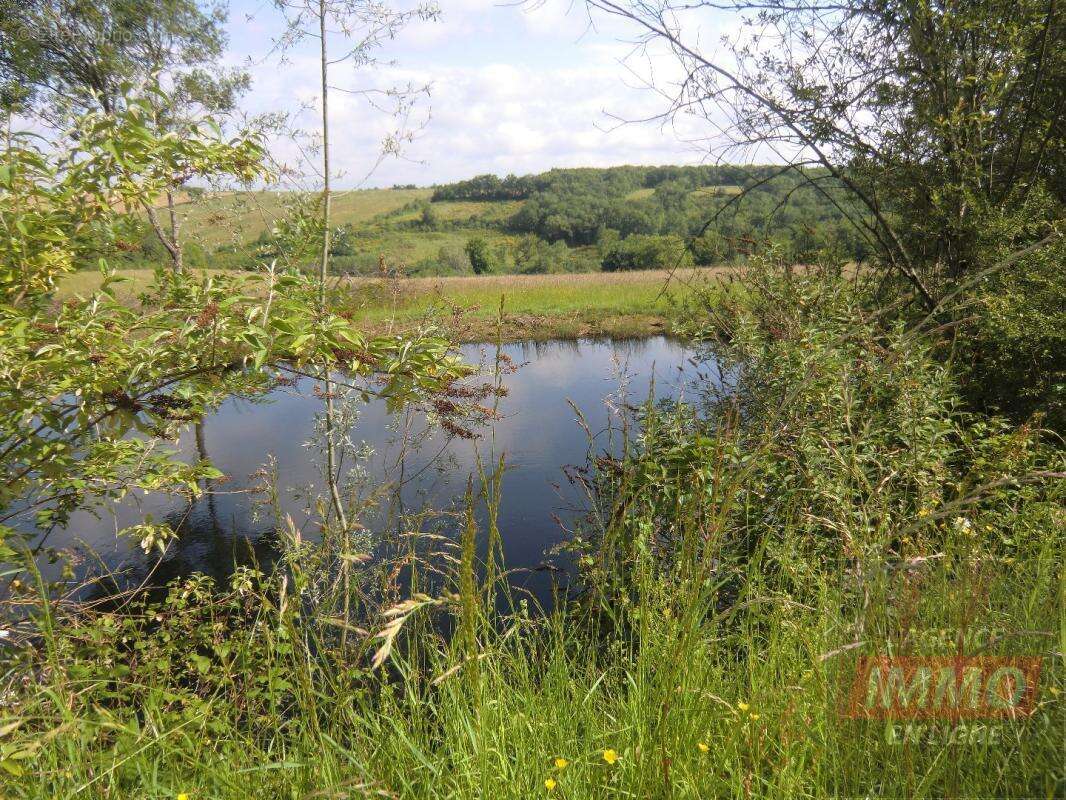 Terrain agricole - photo 2