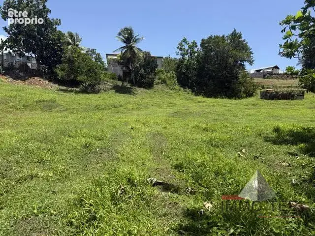 Terrain 1 429 m² à vendre à Baie-Mahault (97122) - photo 5