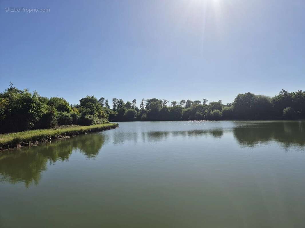 Terrain à LA PELLERINE