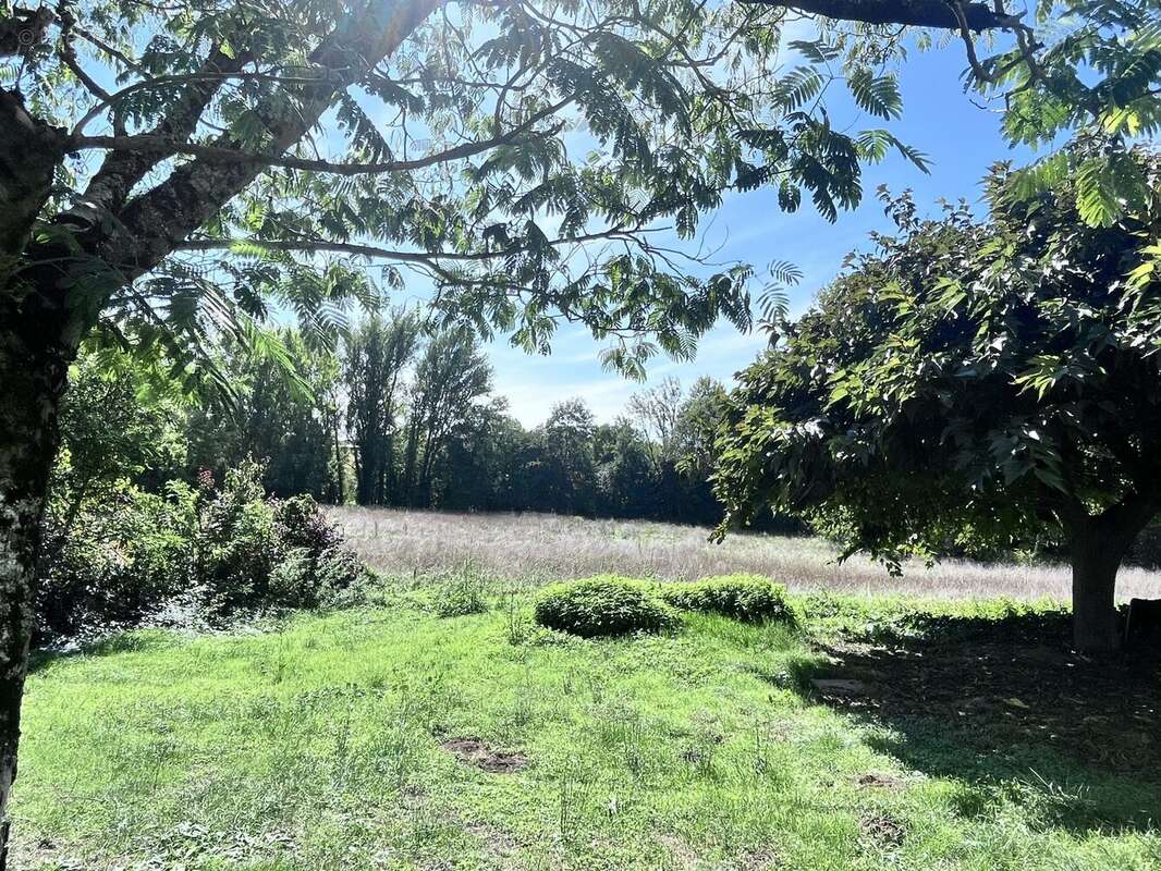 Maison à ALLEMANS-DU-DROPT