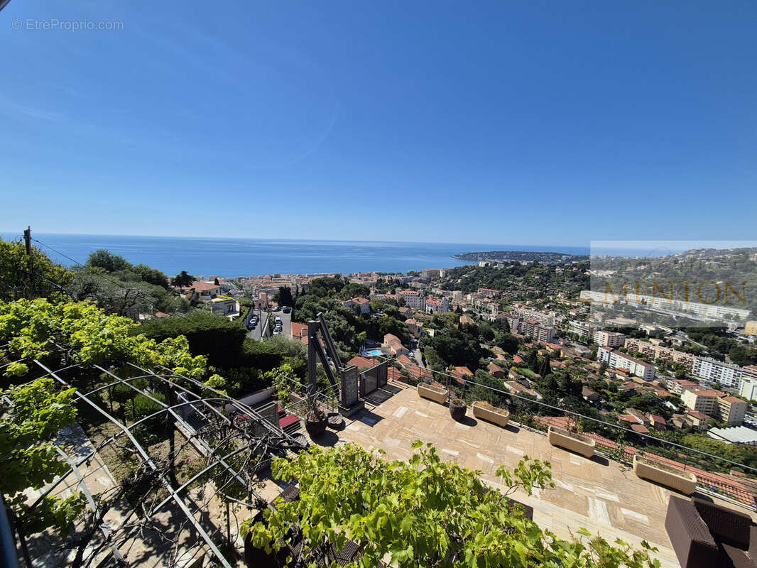 Menton - quartier  annonciade -  3 villas - vue panoramique mer - piscine 1800m terrain  - parkings - photo 32