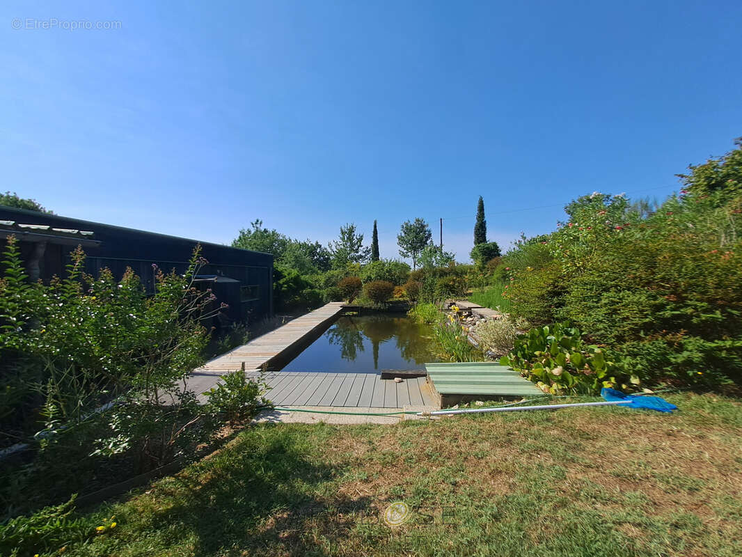 Maison bioclimatique à ossature bois, piscine biologique, gîte indépendant et panneaux solaires - photo 2