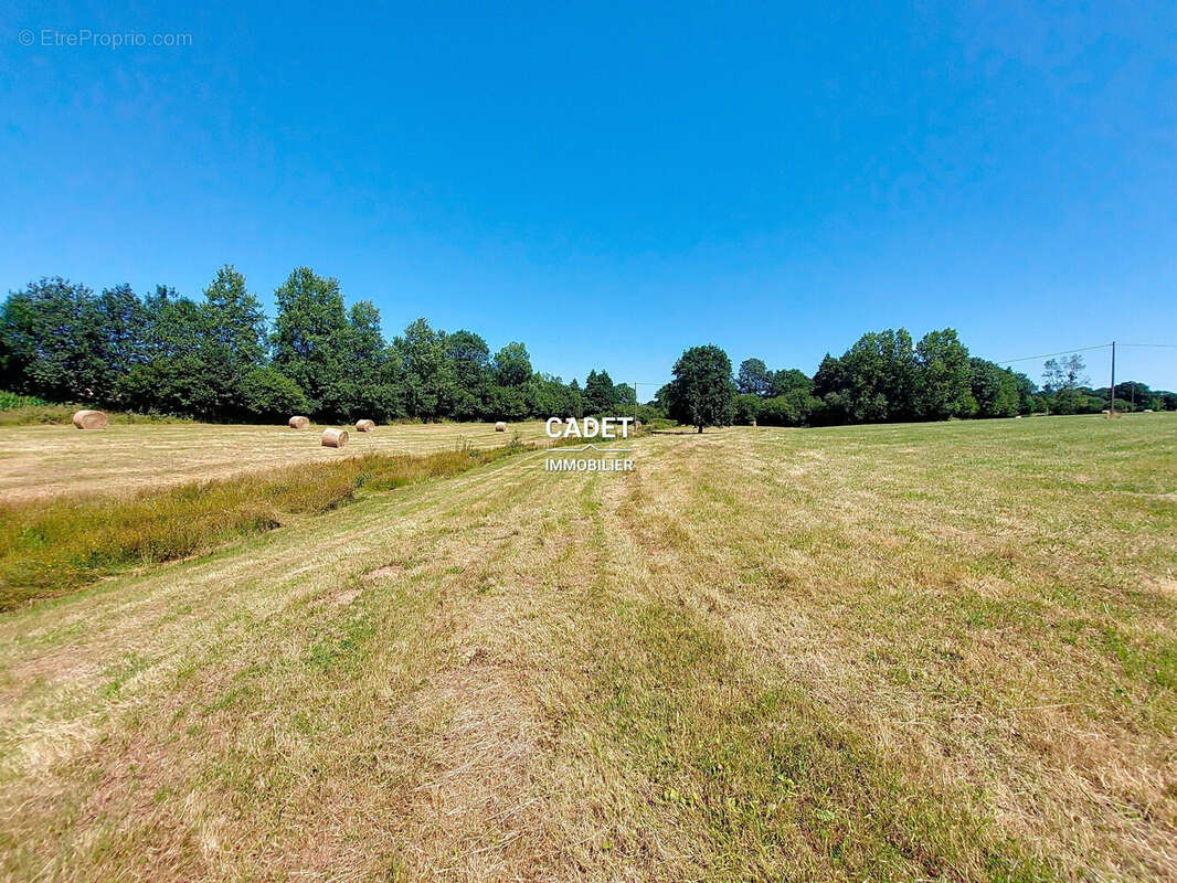 Terrain à LA HAYE-PESNEL