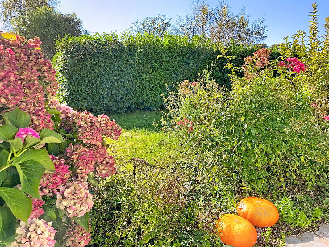 Maison à PICAUVILLE