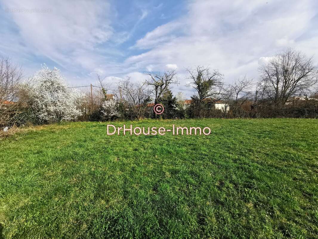 Terrain à MONTREJEAU