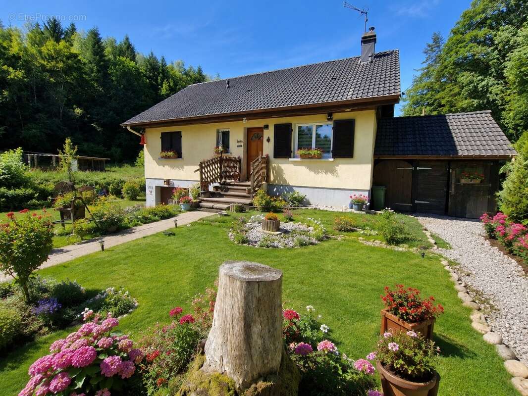 MAISON T5 à vendre 5 pièces banlieue EPINAL (88) avec PISCINE, GARAGE, mare sur 2600 m2 TERRAIN - photo 9