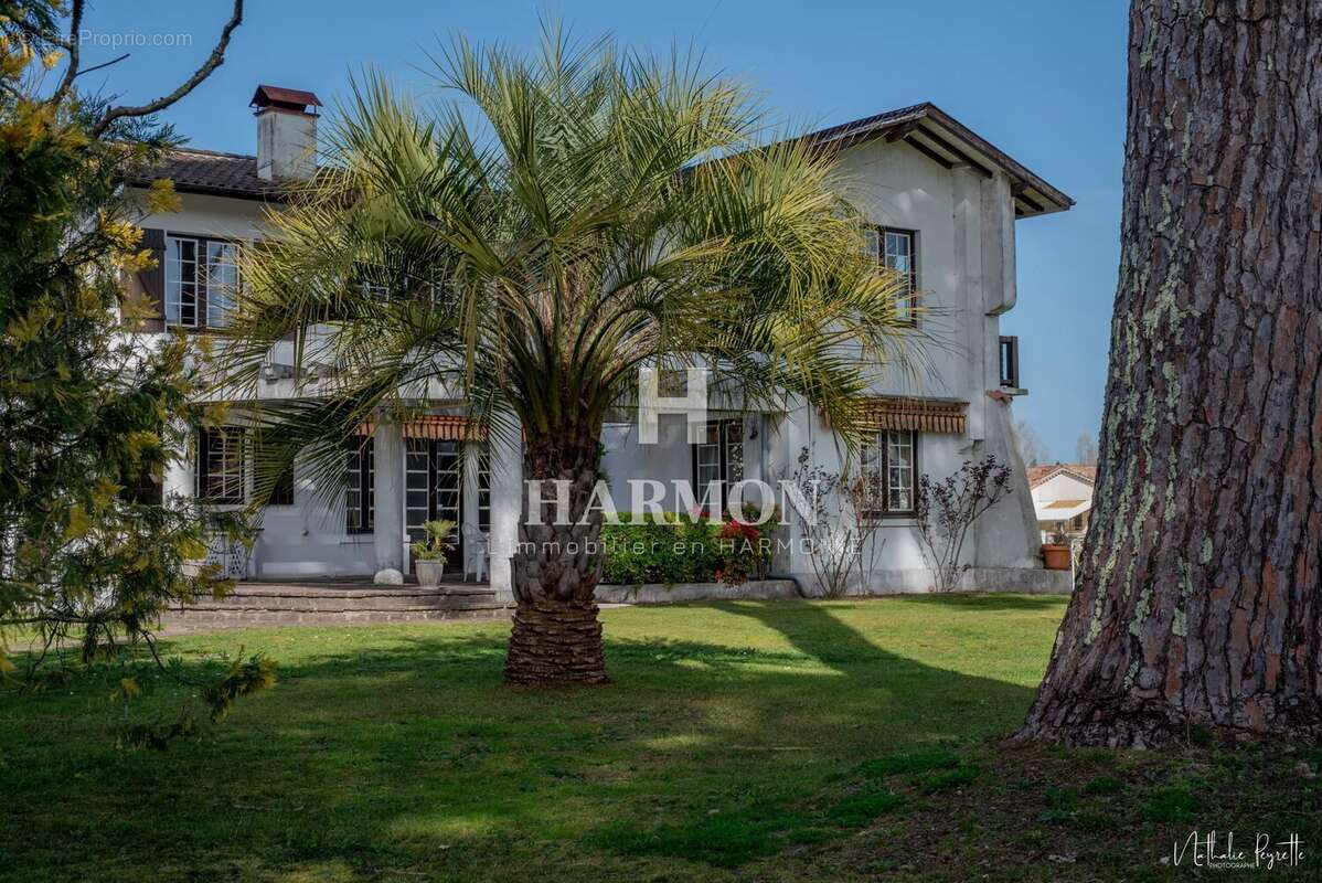 Maison à MAGESCQ