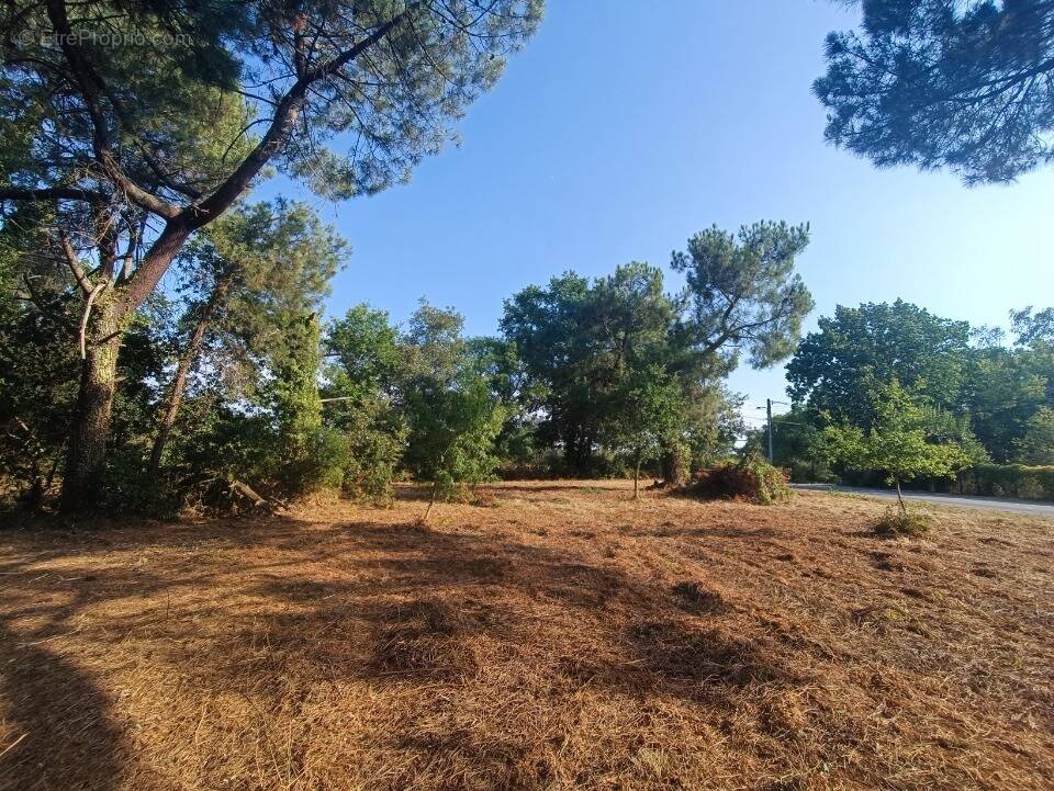 Photo Terrain à Martillac au prix de 199 000€