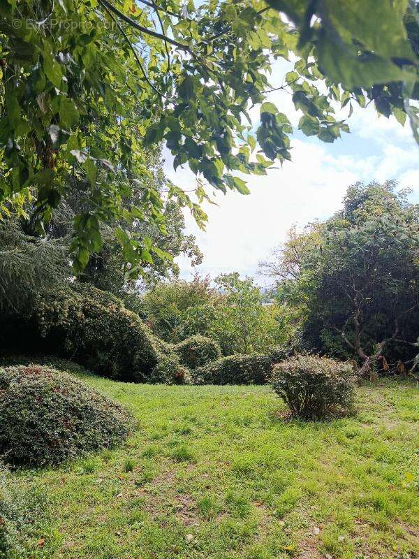 Appartement à LE PLESSIS-ROBINSON