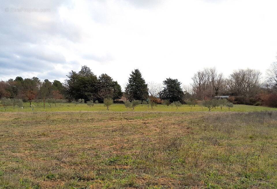 Terrain à BRIGNOLES