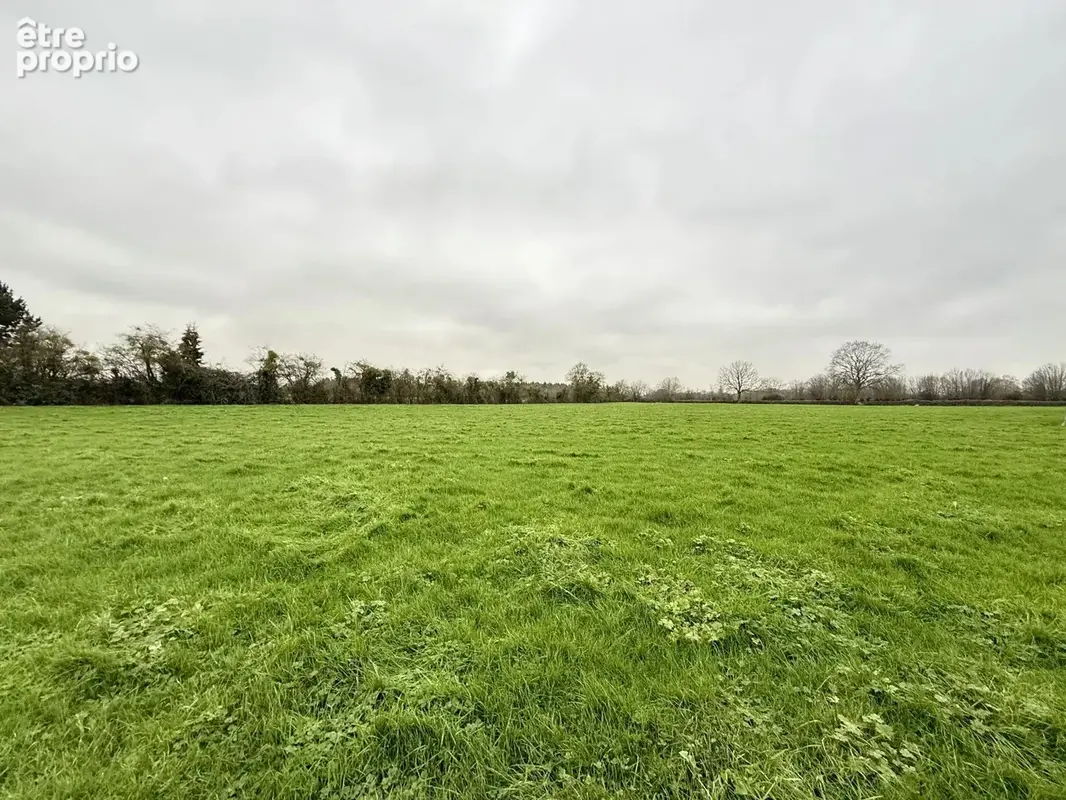 Vente Terrain Gournay-en-bray(76220) 90 000ï¿œ - photo 5