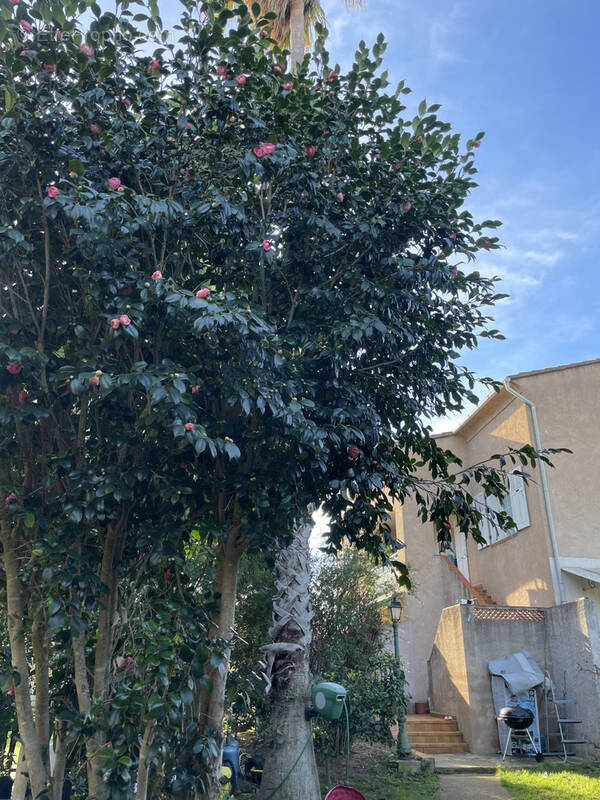 Appartement à PENTA-DI-CASINCA