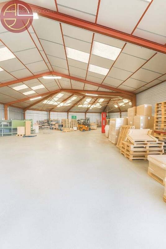 Commerce à PINS-JUSTARET