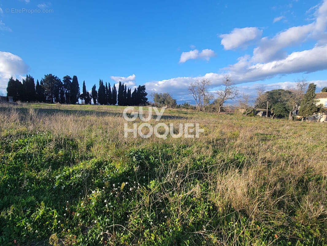 Terrain à CASTELNAU-D&#039;AUDE