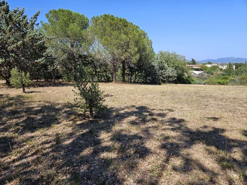 Terrain à ROQUEBRUNE-SUR-ARGENS