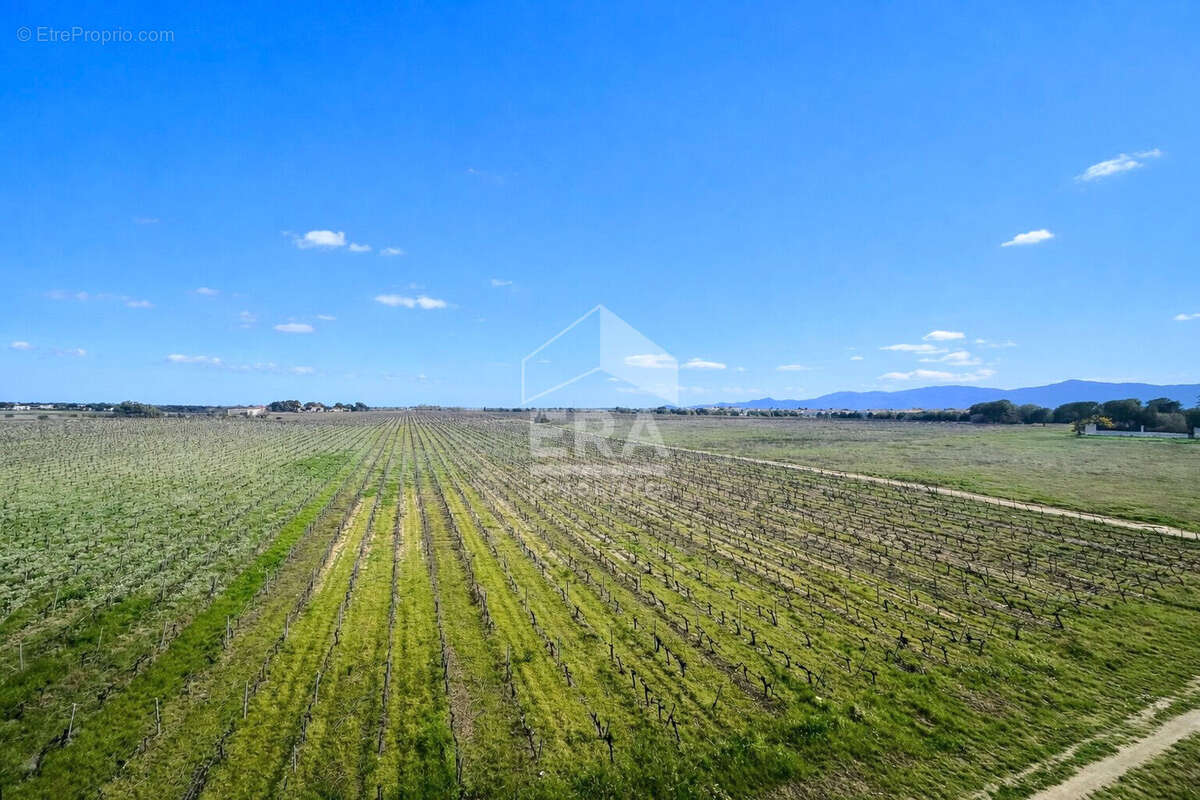 Appartement 56m² à perpignan - photo 5