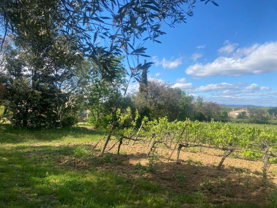 Terrain à GINESTAS