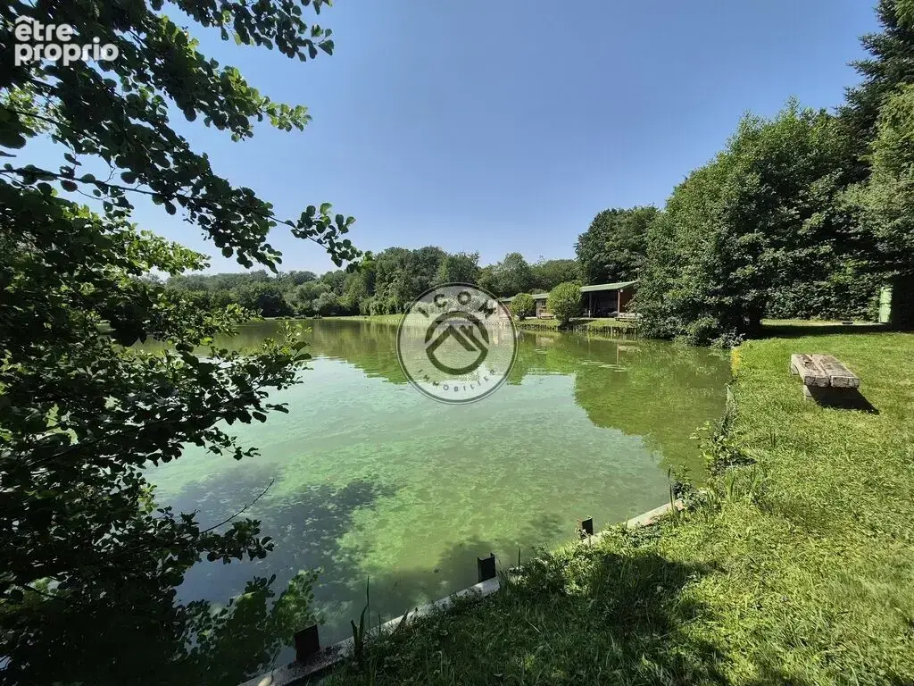 Étang avec chalet sur 1,6 hectare – Bien rare à 15 min de Maubeu - photo 11