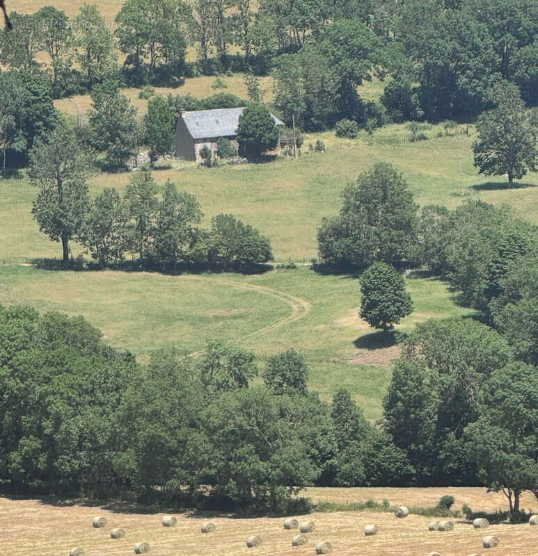 Corps de ferme rénové, 1272 m2 de terrain et jolie vue dégagée Secteur Puy Mary - photo 2