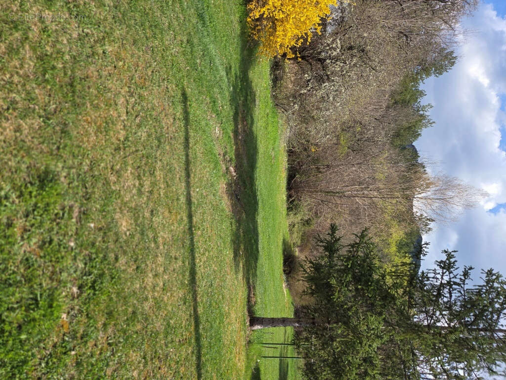 Maison à LA MOTTE-CHALANCON