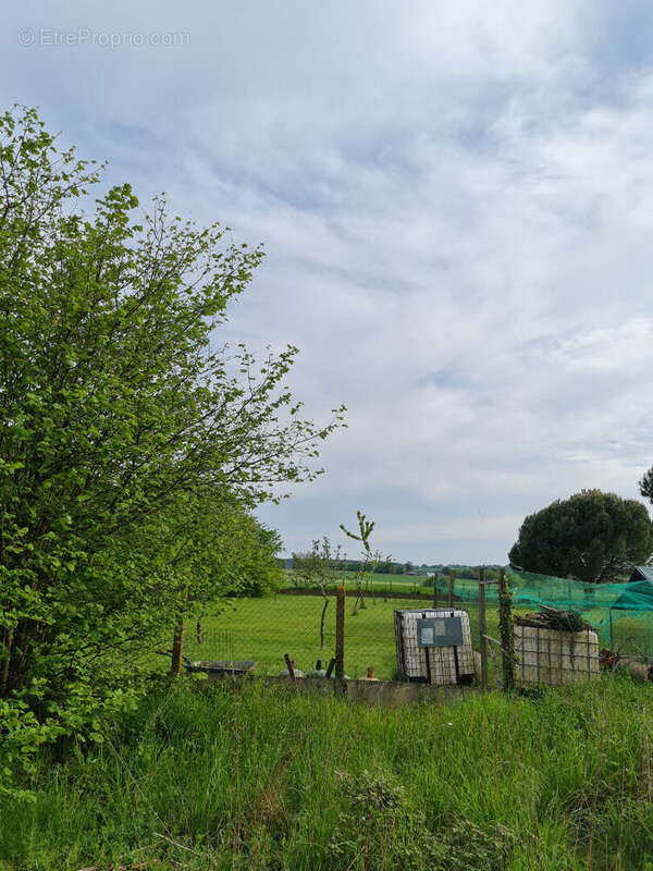 Terrain à MONTENEUF
