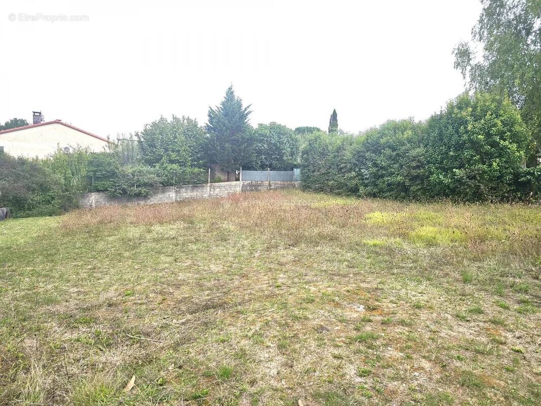 Terrain à SALIES