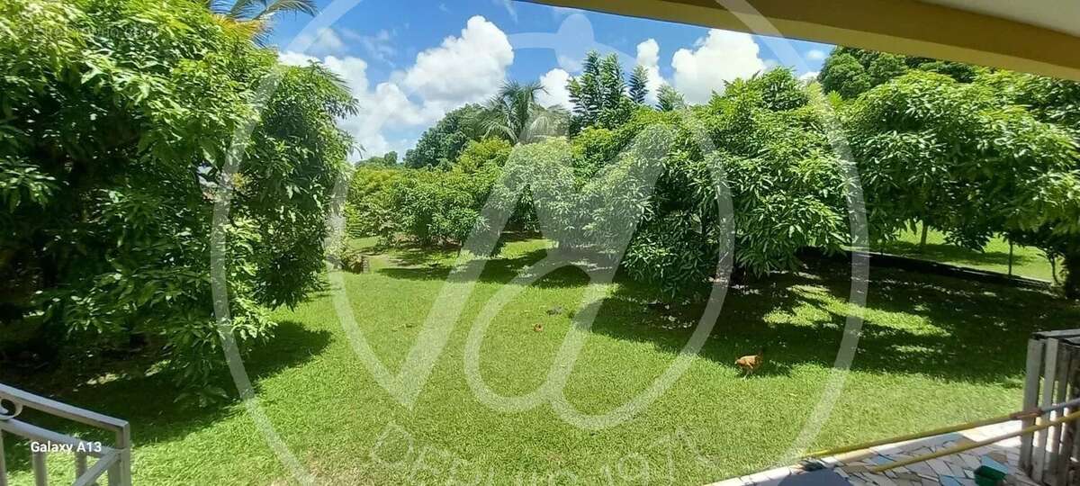 Maison à LES ABYMES