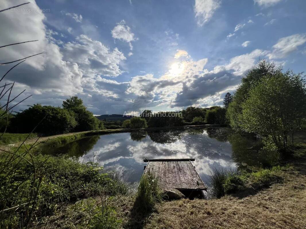 Terrain à MONTSAUCHE-LES-SETTONS