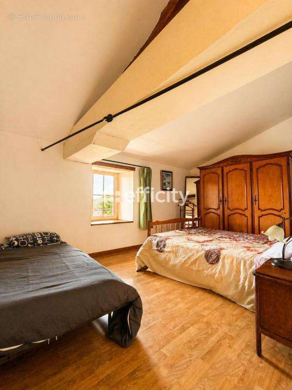 Maison 280 m² à Exireuil  - photo 11
