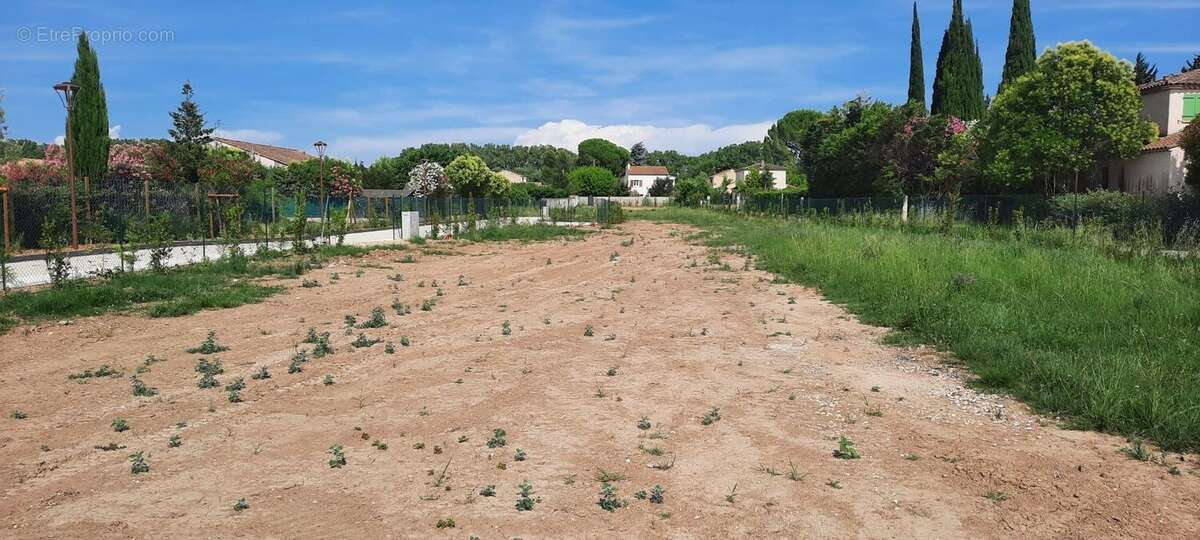 Terrain à FONTVIEILLE