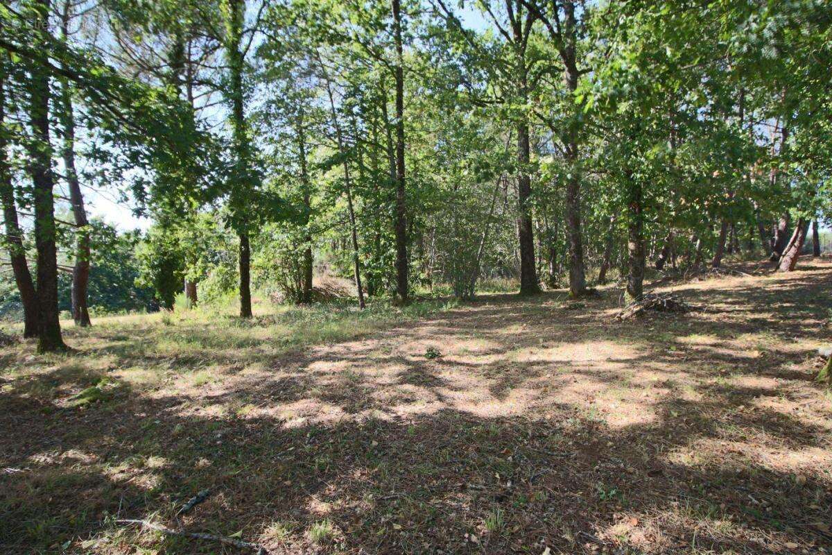 Terrain à PUY-L'EVEQUE