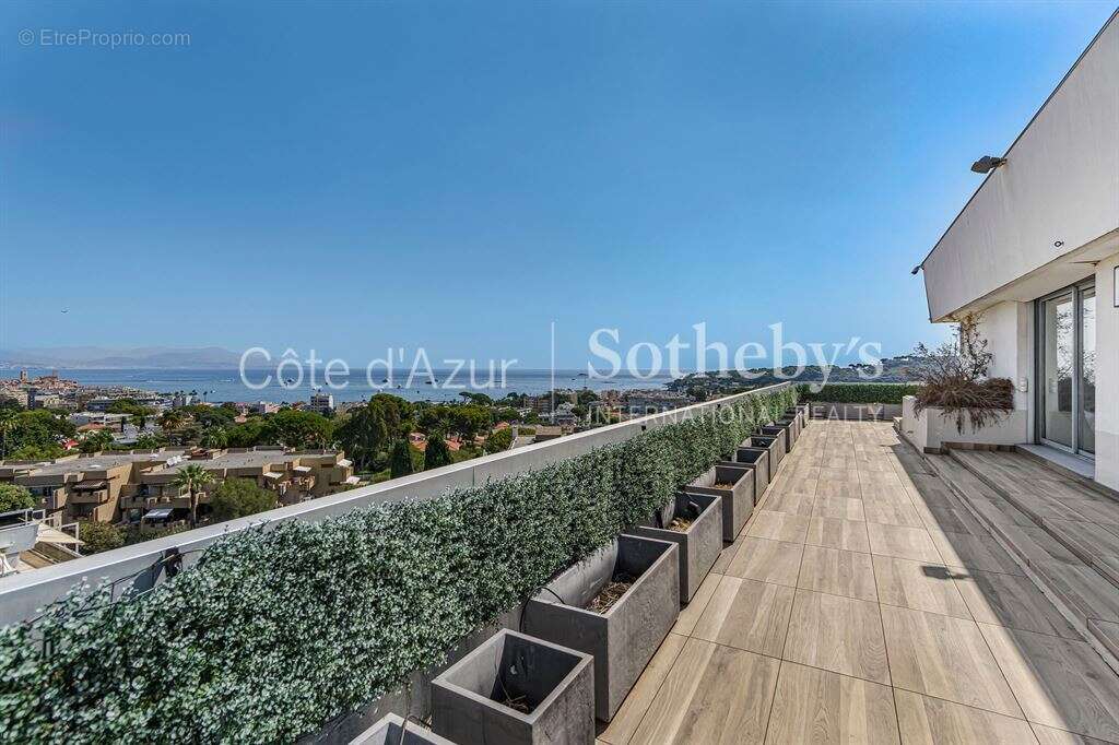 Antibes, penthouse rénové avec terrasse panoramique aux portes du Cap d’Antibes - photo 4