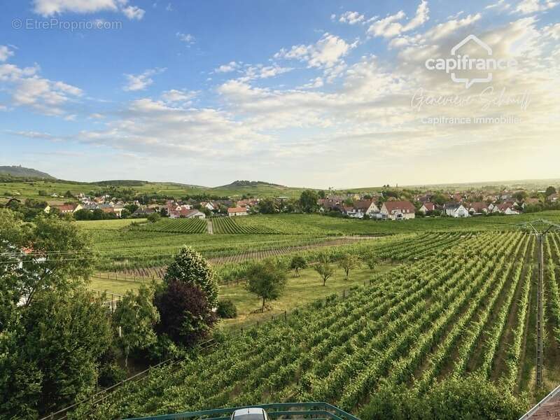 Appartement à RIBEAUVILLE