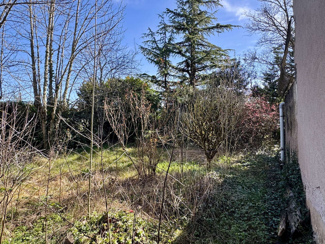 Maison à PAMPELONNE