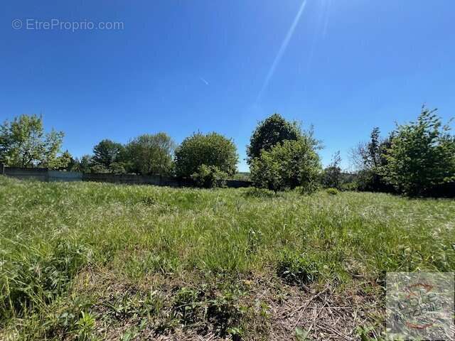Terrain à DOURDAN