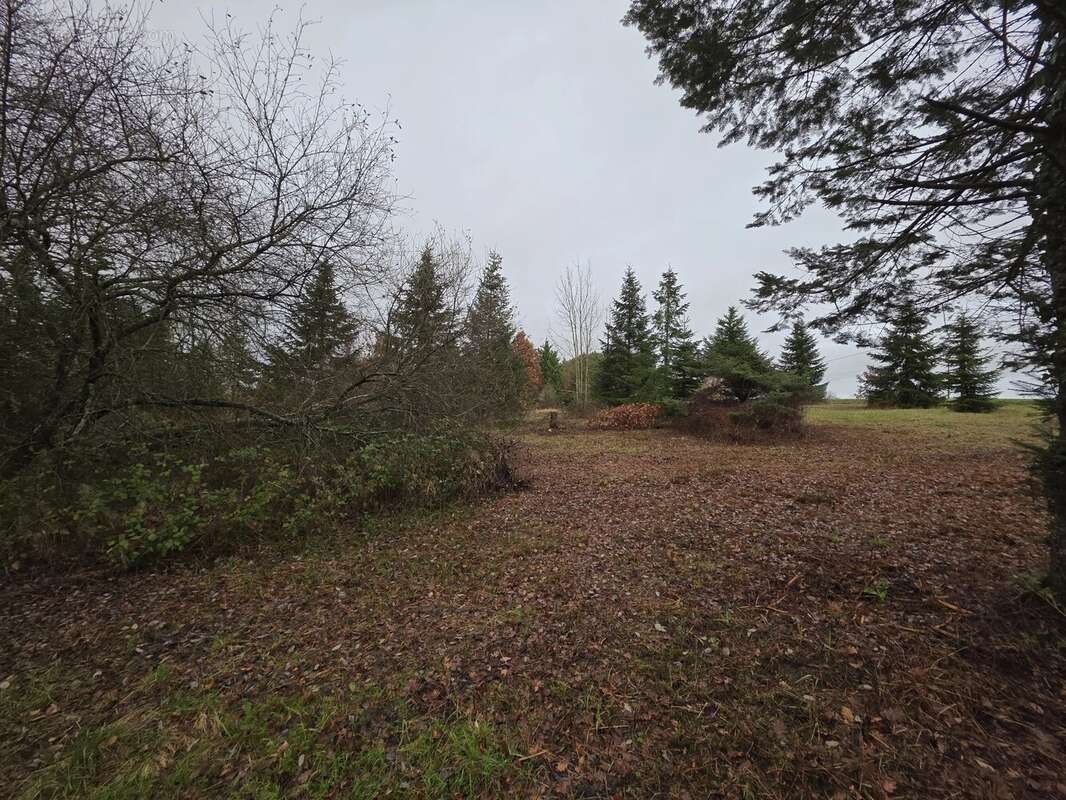 Grand terrain constructible avec certificat d’urbanisme, proche de Monségur - photo 9