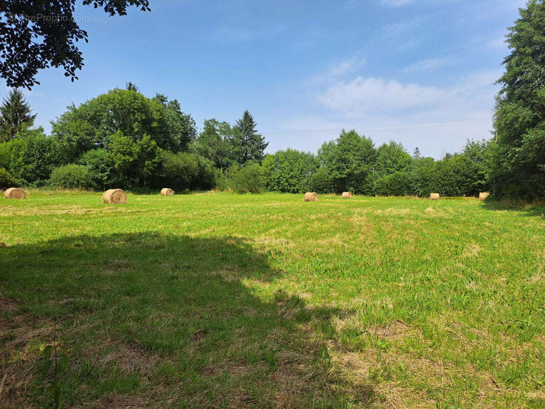 Terrain à SAINT-CALAIS