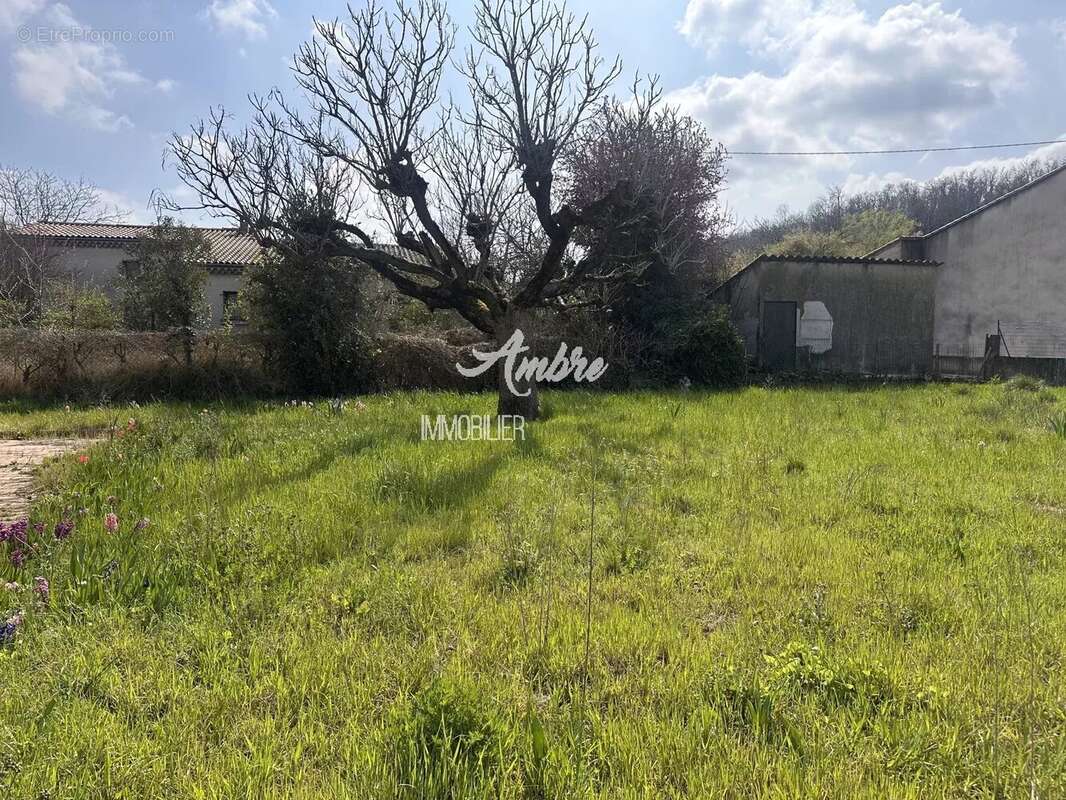 Terrain à BEAUMONT-LES-VALENCE