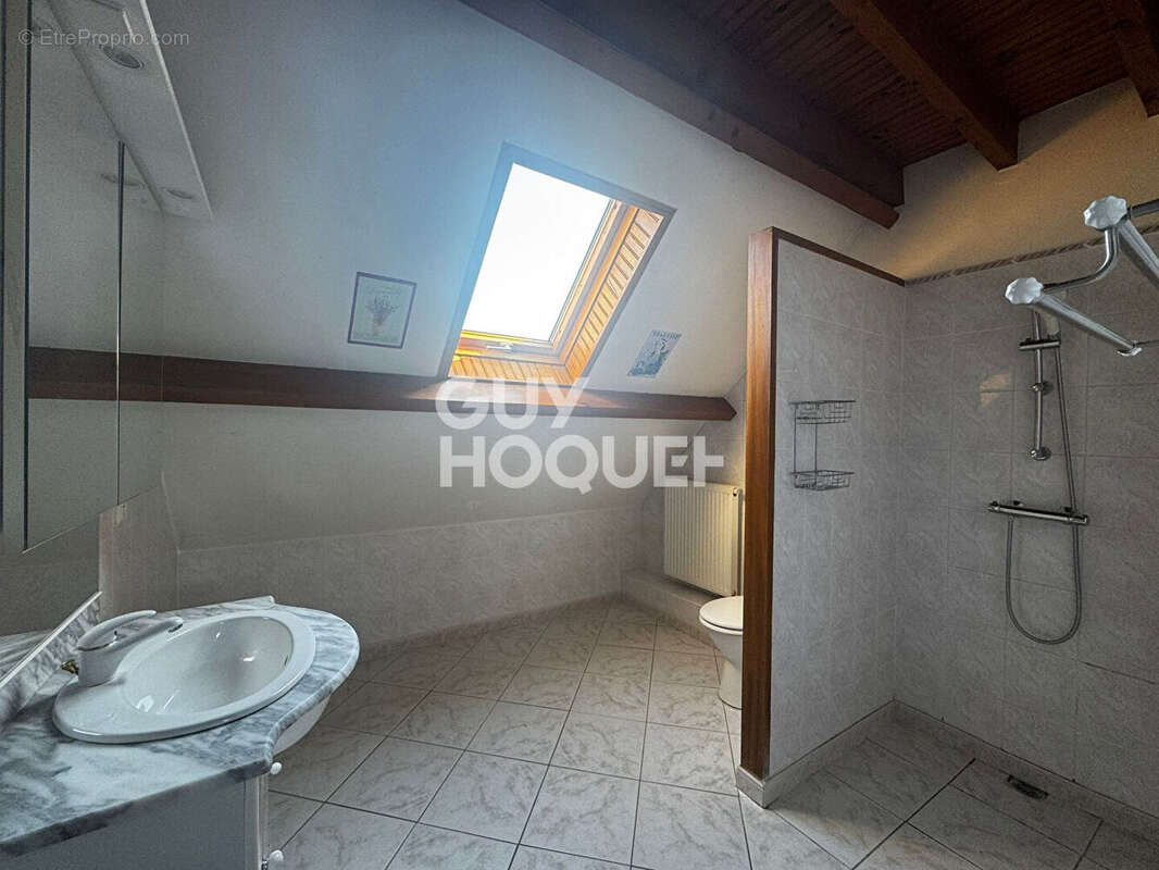 Maison à LA CHAPELLE-SAINT-MESMIN