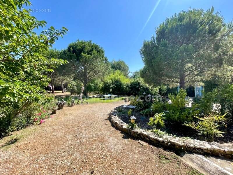 Maison à AIGUES-MORTES