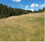 Terrain à MONTBENOIT