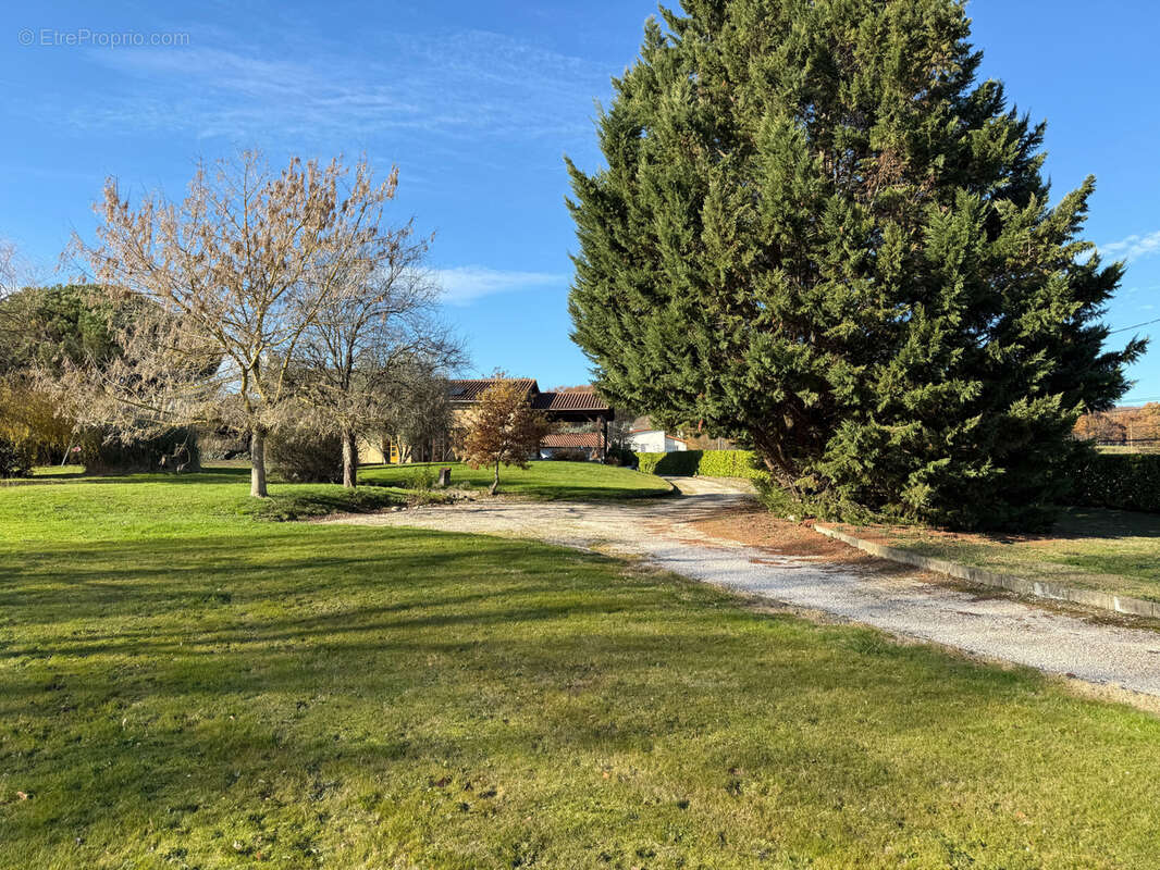 Maison à MONDAVEZAN