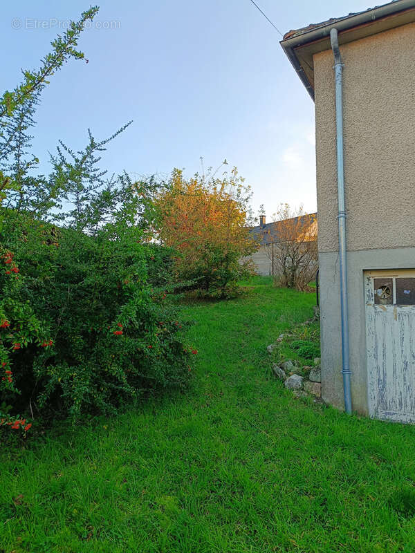 Maison à VIERZON