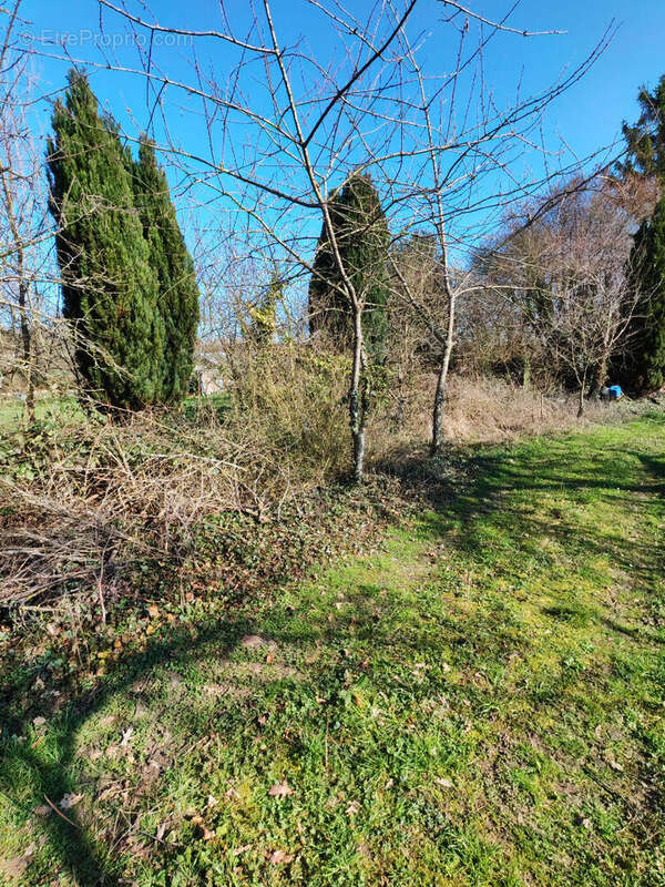 Terrain à COLLIGIS-CRANDELAIN
