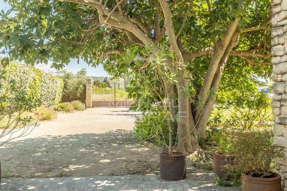 Gordes  - Belle maison en pierre sur un terrain constructible avec piscine - photo 11
